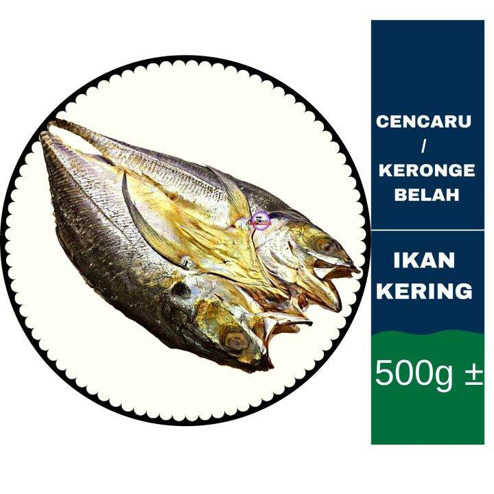 Ikan Kering Cencaru / Keronge Belah (500g±) | Lazada