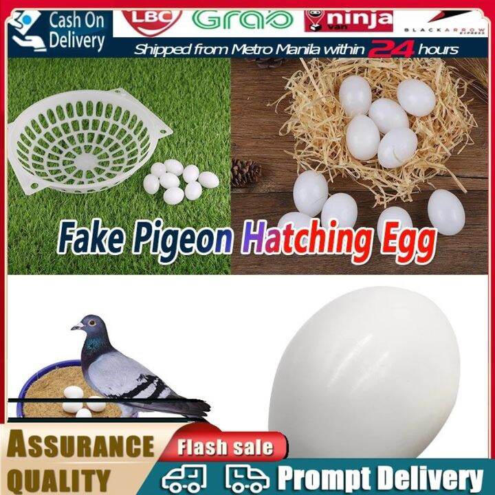 Fake Eggs Plastic Pigeon Egg Solid Pigeon Fake Egg Nesting Egg Solid