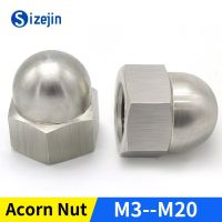 304 Stainless Steel Hex Acorn Cap Nut Covers Hex Decorative Dome Blind Nut M4 M5 M6 M8M10 M12 M14 M16 M18 M20 A2-70 Nails Screws Fasteners