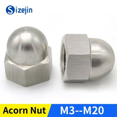 304 Stainless Steel Hex Acorn Cap Nut Covers Hex Decorative Dome Blind Nut M4 M5 M6 M8M10 M12 M14 M16 M18 M20 A2-70 Nails Screws Fasteners