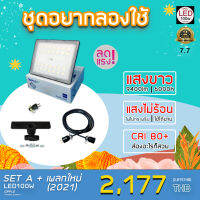 มาใหม่ !! ชุดไฟงานแต่ง LED100W แบบเซ็ต SET A + เพลทใหม่ 2021 ลุยงานบ้านขนาดมินิ พร้อมใช้งาน ส่งด่วน 1-2 วัน