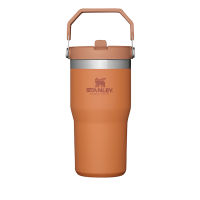 Stanley แก้วเก็บความเย็น รุ่น CLASSIC FLIP STRAW TUMBLER 20OZ OCHRE