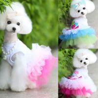 Dog Clothes for Small Dogs Dress Sweety Princess Dress That All Seasons Puppy  Lace Princess Apparel Chihuahua Dog Dresses