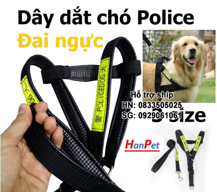 Chó cảnh sát: Bạn sẽ bị cuốn hút bởi bức ảnh này với chú chó cảnh sát đang đeo yếm đai yên và phản quang sáng lấp lánh. Hình ảnh này khiến bạn cảm nhận được sự an toàn và sự trách nhiệm của những người cảnh sát.