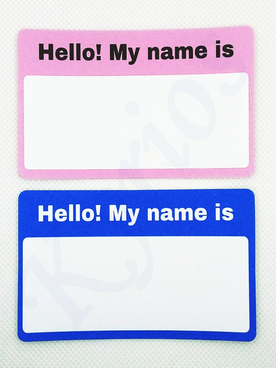 Easy to Write On Name Tag MATTE Stickers Conferences, Parties, School
