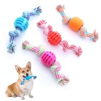 Pet Dog Toy Cotton Rope Double Knot Interactive Toy Bite-Resistant Tooth Cleaning Dog Toys For Small Large Dogs Dog Essories