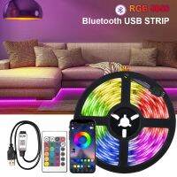 【cw】 5050 Usb Rgb Led Strip 30M Bluetooth Control 5V White Led Light Led Wall Room Flexible Ribbon Tv Desktop Screen Backlight Diode ！