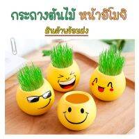 กระถางตุ๊กตาอิโมหัวหญ้า