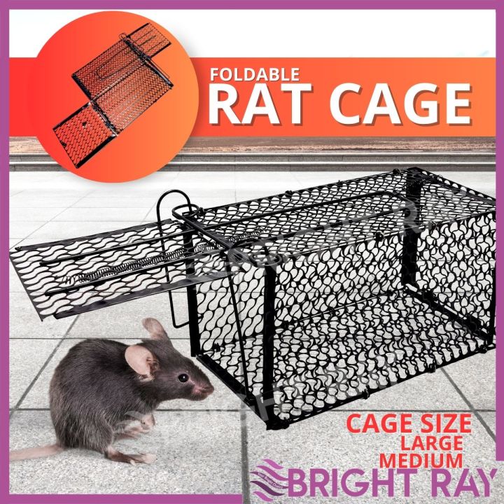 FOLDABLE Rat Trap Cage Perangkap Tikus Mouse Trap Cage Small Animals ...