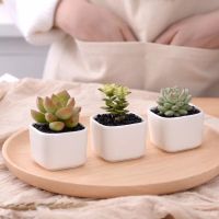 [AMO Garden Decoration]Creative เซรามิคสแควร์เรขาคณิตกระถางดอกไม้ Simple Succulent Plant คอนเทนเนอร์สีเขียว Planters กระถางบอนไซขนาดเล็กตกแต่งบ้าน