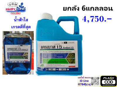 ยกลัง  6 แกลลอนเคนบาส 15 กลูโฟซิเนต แอมโมเนียม ขนาด 4L สารกำจัดวัชพืช