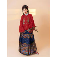 Original Spring Chinese Ming Dynasty Red Hanfu Womens Square Collar Phoenix Embroidery Jacket Skirt Horse Face Skirt Full Set