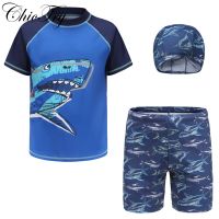 Kid Boys Swimsuit Swimwear Beachwear Sets Short Sleeve Swim Tops Trunks and Hat Summer Outfits Rash Guard Swimming Bathing Suits