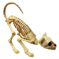 Cat Skeleton Spooky Skeleton Cat Halloween Decor Yard Signs Realistic Halloween Tricky Decoration Props Scary Skeleton Decor for Indoor Outdoor current