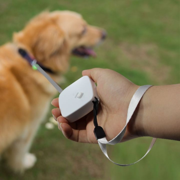 retractable-2m-dog-leash-automatic-freely-dog-puppy-cat-traction-rope-belt-dog-leash