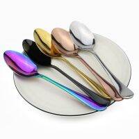 ✇ Silverware Colorful Rainbow Black Salad Dessert Scoop Set Stainless Steel Black Set Rice Soup Spoon Cutlery Teaspoon Dinnerware