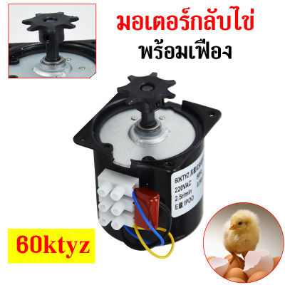 ส่งจากไทย มอเตอร์กลับไข่  มอเตอร์ซิงโครนัส 60KTYZ มอเตอร์หมุนไข่ อุปกรณ์ตู้ฟักไข่ 5.0r min มอเตอร์มัลติฟังก์ชั่น
