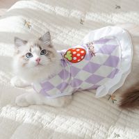 [COD] thin cat rhombus strawberry adult kitten dress and medium-sized dog pet hairless clothes