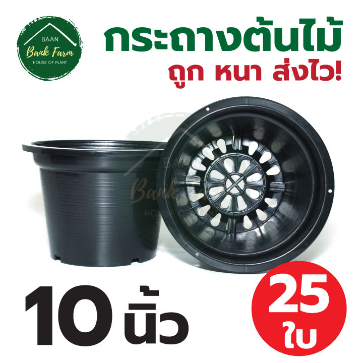 กระถาง10นิ้ว-สีดำ-คุณภาพดี-ราคาถูกมาก-แพ็ค-1-25-ใบ-กระถางราคาถูก-กระถางพลาสติก-กระถางต้นไม้-กระถางกลม