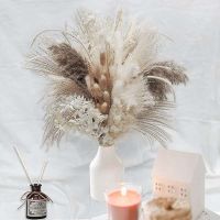 【cw】 80Pcs Dried Fluffy Pampas Bouquet Set Boho Pompous Large Reed Tail Stalk