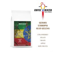 เมล็กกาแฟ Geisha Ethiopia Guji Gelena คั่วกลาง-อ่อน Medium-light อาราบิก้า 100%