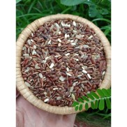 Gạo Lứt đỏ H Mông Tú Lệ - Loại thơm mềm, khô - Không chất bảo quản