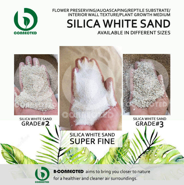PREMIUM SILICA SAND WHITE - SUPER FINE 1 KILO BY BCONNECTED