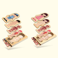 Children Educational Toys Wooden Human Body Puzzle Boys Girls Body Structure Wooden Children Puzzles Kids Education Toys