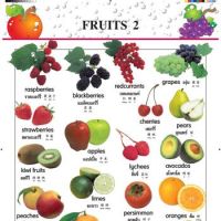 Kid Plus สื่อเสริมทักษะ โปสเตอร์ 3 ภาษา (ไทย-อังกฤษ-จีน) LOOK AND LEARN CHARTS - FRUITS 2