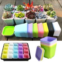 【hot】┇◈¤  7Pcs Plastic Pots   Planters with Tray for Transplant  Gardening Accesorries