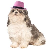 ❁ Manufacturers wholesale new pet dog cowboy hat triangle towel suit head cat whimsy hair