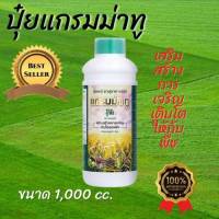 แกรมม่าทู 1000 cc. (1ขวด) ปุ๋ยน้ำ สูตรเร่งการเจริญเติบโต  เป็นกรดอะมิโนปุ๋ยเคมี ธาตุอาหารรอง