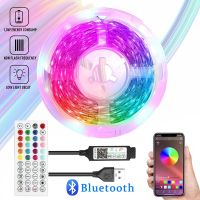 1M-30M Rgb Usb Led Strips 5050 LED Bluetooth DC5V Led Ice Light TV Backlight Ribbon Tape for Children Into The Room Party Decor LED Strip Lighting