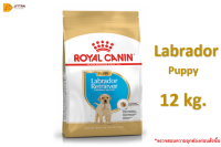 ??[ส่งฟรี]Royal Canin Labrador Retriever Puppy Exp.2/23 อาหารสำหรับลูกสุนัขพันธุ์ลาบราดอร์ รีทรีฟเวอร์  ขนาด12กก. ?บริการเก็บเงินปลายทาง