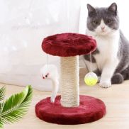 Htrf sáng tạo vui mèo trêu chọc tự Hi Kitten trò chơi tương tác mài móng