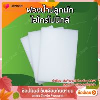 ฟองน้ำปลูกผักไฮโดรโปนิกส์ คุณภาพดี 10 แผ่น by hydroponicgroup