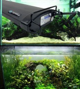 Đèn Aqua LED Odyssea COMPAC thủy sinh siêu sáng chuyên dụng cho hồ cá rồng
