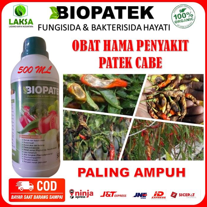 Obat Semprot Penyakit Patek Cabe Biopatek Obat Hama Patek Cabe Paling Ampuh Biopatek