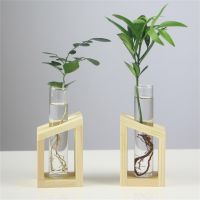 【YF】☒◇❦  Vase  Hydroponic Holder Glass Vases