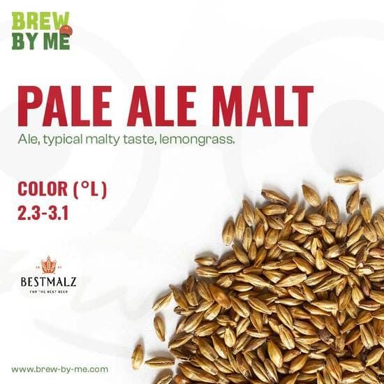 มอลต์ Pale Ale Malt – BESTMALZ Malt ทำเบียร์