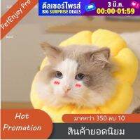 PetEnjoy Pro?ถูกสุด! พร้อมส่ง?Collar Cat ปลอกคอแมว คอลล่าแมว ดอกทานตะวัน สายรุ้ง คอลล่าสัตว์เลี้ยง ปลอกคอกันเลีย คอลล่ากันเลีย