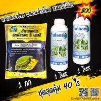 ชุดสุดคุ้ม? อีมา 1 กก+ ไวต์ออยล์ 2ลิตร กำจัดหนอน ยับยั้งการลอกคราบ และคุมไข่แมลง หนอนเจาะผล หนอนเจาะดอก หนอนนาข้าว หนอนข้าวโพด หนอนชอนใบ