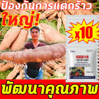 ใหญ่สุดๆ!ฮอร์โมนมันสำปะหลัง ซื้อ1แถม10ปุ๋ยเร่งหัวมัน ใต้ดินเติบโตอย่างรวดเร็ว ผงนัวฉีดมัน ปุ๋ยเร่งหัวมัน ป้องกันการแตกร้าว ขยายตัวอย่างรวดเร็ว ต้านทานโรค เพิ่มผลผลิต และปรับปรุงคุณภาพ เหมาะสำหรับพืชใต้ดินหลายชนิด ผักราก ปุ๋ยมันสำปะลัง ปุ๋ยทางใบมันสำปะหลัง