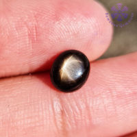 พลอยสตาร์ดำ 1.63 กะรัต (Natural Black Star Sapphire) รูปร่างไข่หลังเบี้ย สีดำ มีเหลือบสตาร์ 6 แฉก เมื่อโดนแสงแดด หรือ แสงไฟ เป็นพลอยที่เอกลักษณ์เฉพาะ