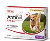 Antinol DOG 60 แคปซูล(หมดอายุ03/2025)แพ็คเกจใหม่ อาหารเสริมบำรุงข้อ ข้ออักเสบ 1 กล่องบรรจุ 60 เม็ด