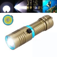 Waterproof Diving Flashlight LED Torch Underwater 100 Meter Dive Lamp Light Camping Lanterna Power by 18650 Battery