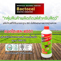 BACTOCEL แบคโตเซล 4001 1 ขวด 1000CC จุลินทรีย์คอกสัตว์ สำหรับฟาร์ม วัว หมู ไก่ แพ้ ม้า ลดแมลงวัน ป้องกันโรคในสัตว์ จุลินทรีย์สัตว์ ป้องกันโรค