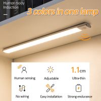 Led Night Light 20/40cm Ultra-Thin Smart Wireless Sensor Light Cabinet Lighting USB Wardrobe Lamp for Kitchen Cabinet Bedroom