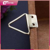 1 10PCS Big Triangle Double Hole Hanging Picture Frame Hardware Accessories Hook Metal Hook Double Hole Hook Storage