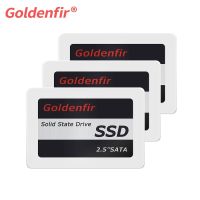 Goldenศ. Ssd 360Gb 240Gb 120Gb 480Gb 960Gb 1Tb Ssd 2.5ฮาร์ดดิสก์ไดรฟ์ดิสก์แบบแข็ง2.5 "ภายใน Ssd128gb 256Gb-โซลิดสเตทไดรฟ์-AliExpress